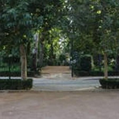 Fabuloso Piso Junto A Paseo De La Bomba Гранада Екстер'єр фото